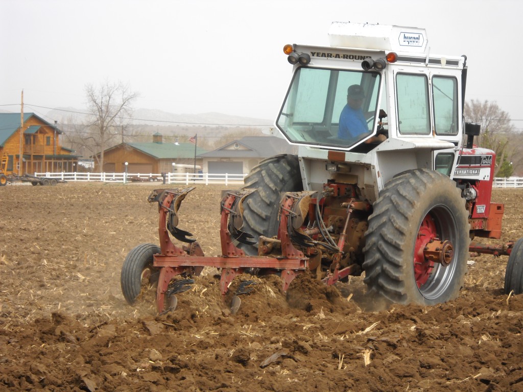 Plowing the soil in the spring. 
