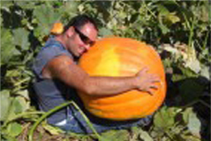 Love those big Pumpkins!