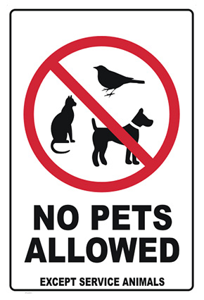 No Pets Allowed at Diana's Pumpkin Patch